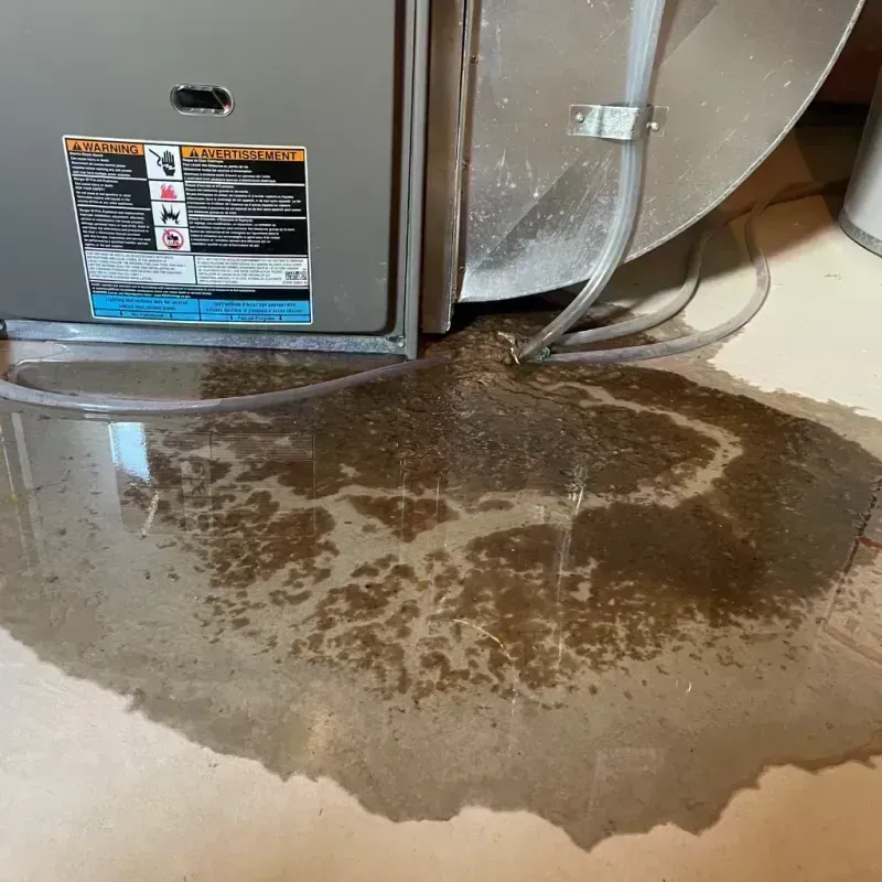 Appliance Leak Cleanup in Newtown, OH